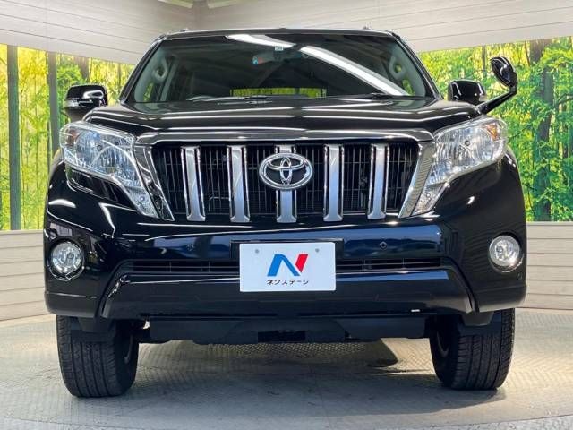 Toyota PRADO 2013-11 196516-14