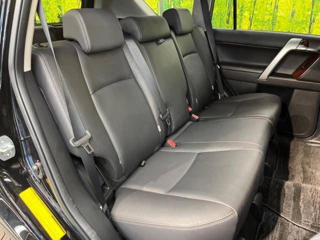 Toyota PRADO 2013-11 196516-9