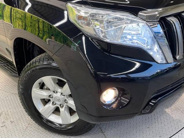 Toyota PRADO 2013-11 196516-12