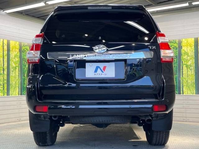 Toyota PRADO 2013-11 196516-15