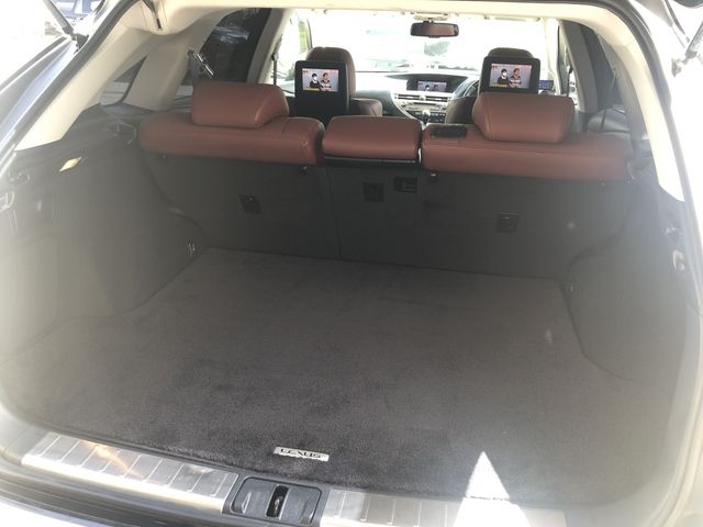Lexus RX 2013-06 7250-11