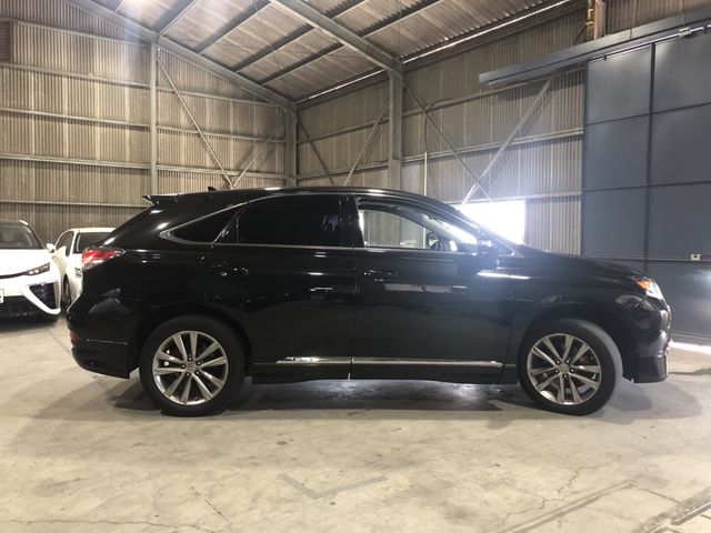 Lexus RX 2013-06 7250-13