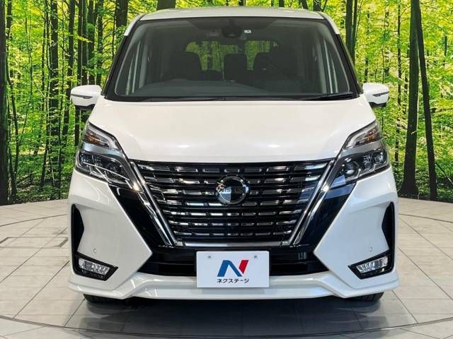 Nissan SERENA 2019-08 9638-14