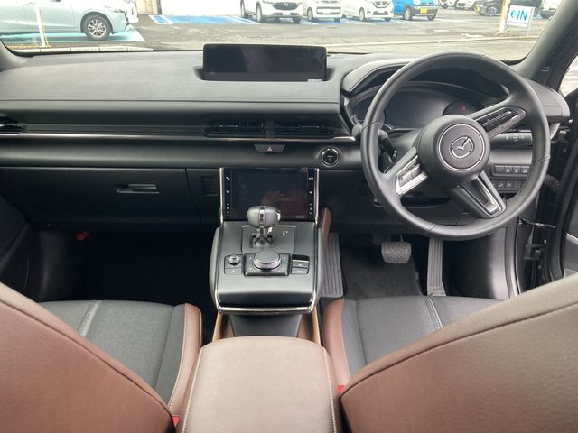 Mazda MX-30 2021-01 187066-7
