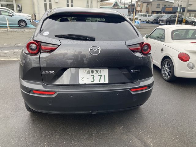 Mazda MX-30 2021-01 187066-4