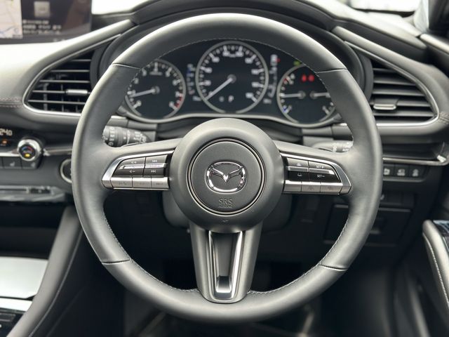 Mazda MAZDA3 2023-01 7138-10
