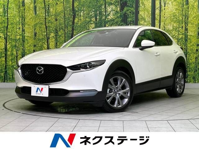 Mazda CX-30 2023-03 183079-0