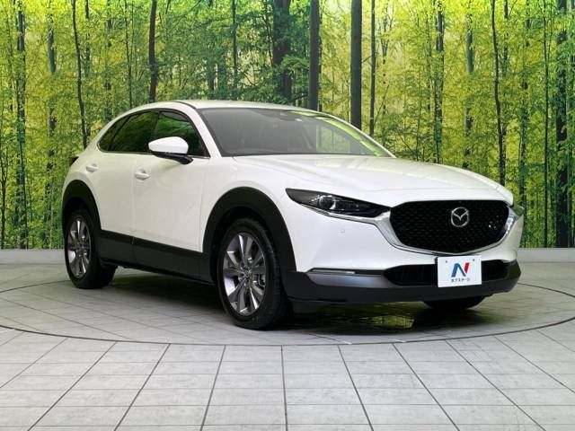 Mazda CX-30 2023-03 183079-16