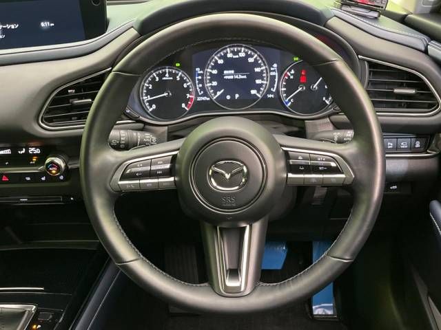 Mazda CX-30 2023-03 183079-8