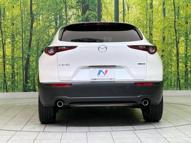 Mazda CX-30 2023-03 183079-15