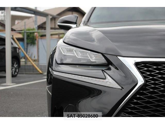 Lexus NX 2016-07 275606-10