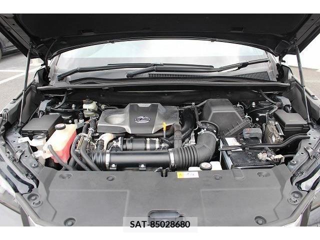 Lexus NX 2016-07 275606-18