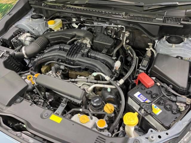 Subaru SUBARU 2017-06 189555-18
