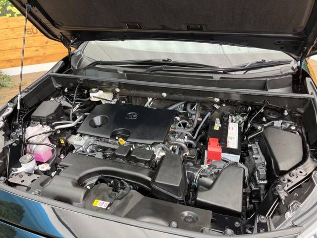 Toyota RAV4 2023-06 24123-18