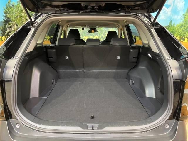 Toyota RAV4 2023-06 24123-10