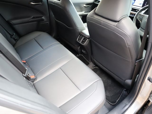 Lexus UX 2020-09 183797-10