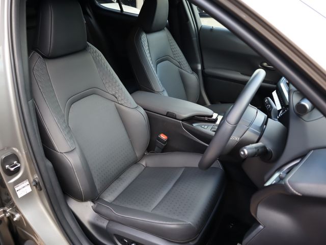 Lexus UX 2020-09 183797-8