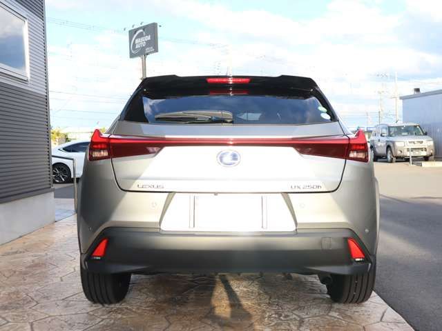 Lexus UX 2020-09 183797-5