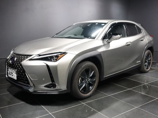 Lexus UX 2020-09 183797-0