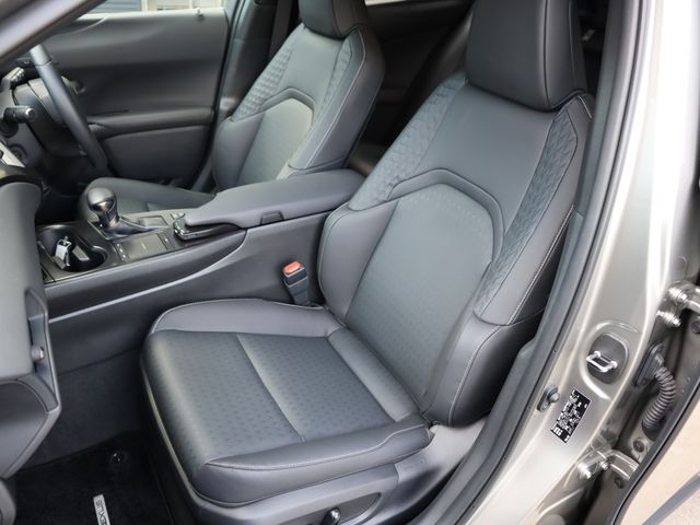 Lexus UX 2020-09 183797-9