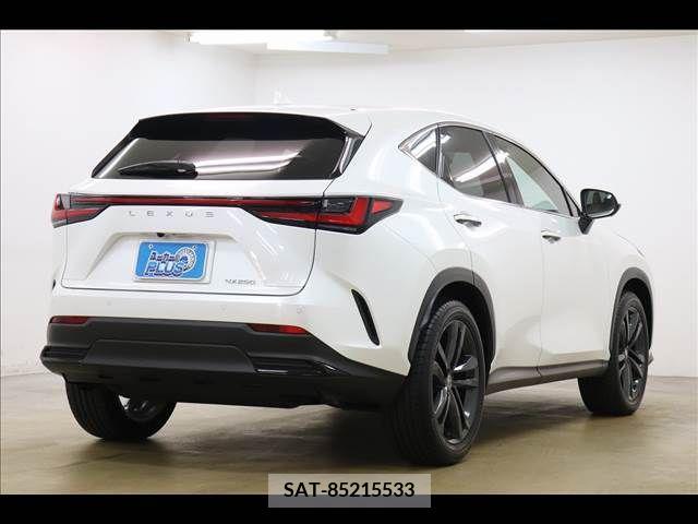 Lexus NX 2023-05 239747-18