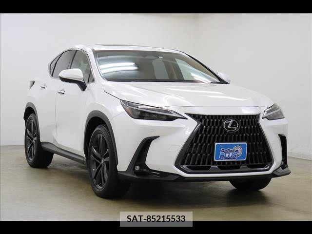 Lexus NX 2023-05 239747-17