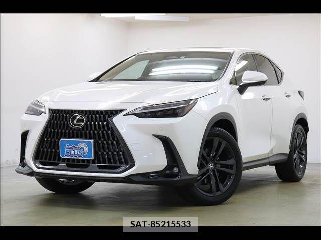 Lexus NX 2023-05 239747-16
