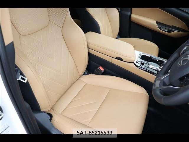 Lexus NX 2023-05 239747-10