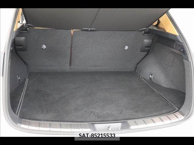 Lexus NX 2023-05 239747-13