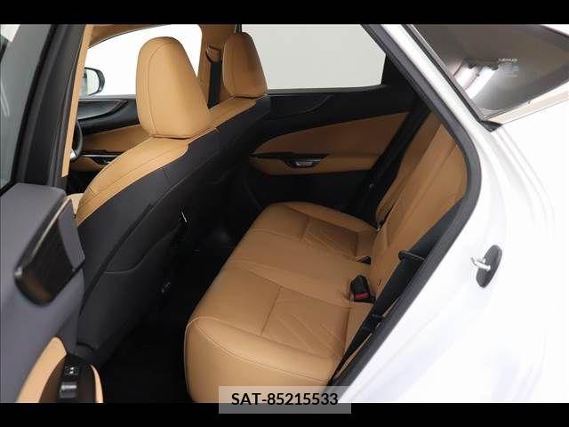Lexus NX 2023-05 239747-12