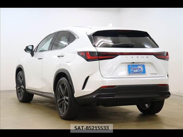 Lexus NX 2023-05 239747-19