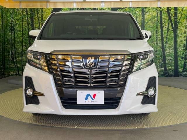 Toyota ALPHARD 2016-10 182453-14