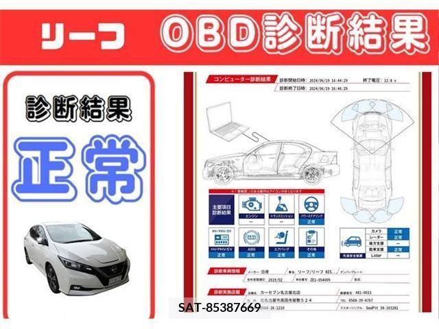 Nissan LEAF 2019-02 330954-3