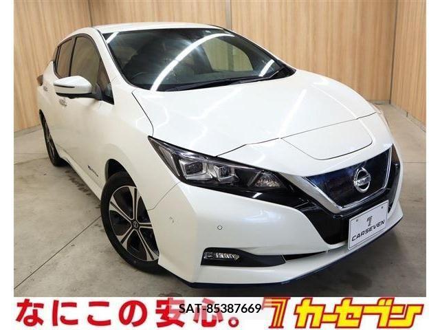 Nissan LEAF 2019-02 330954-0
