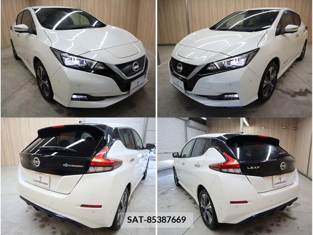 Nissan LEAF 2019-02 330954-27