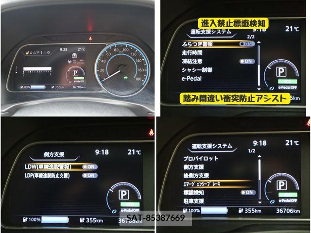 Nissan LEAF 2019-02 330954-22