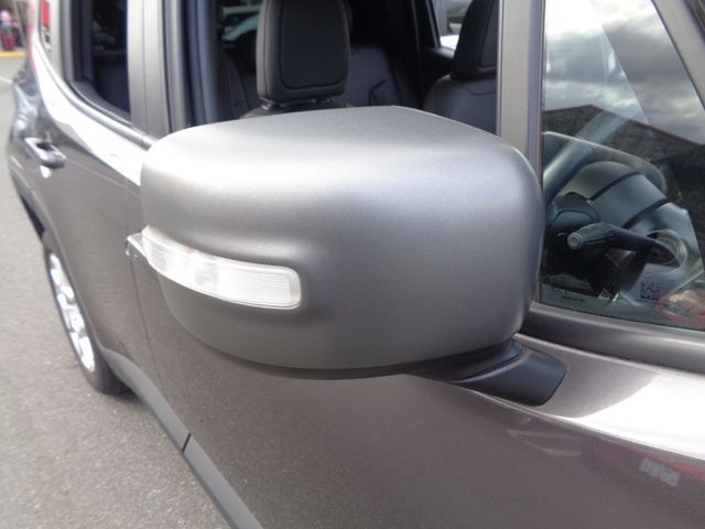 Jeep RENEGADE 2021-03 186089-10