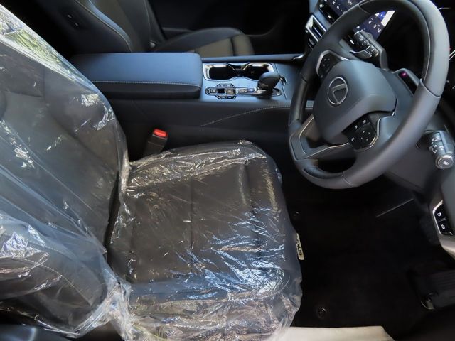 Lexus RX 2023-07 24069-13