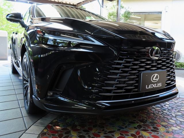 Lexus RX 2023-07 24069-0