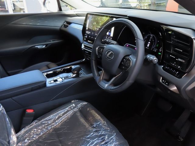 Lexus RX 2023-07 24069-11
