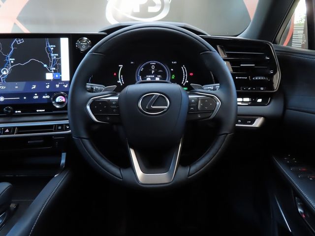Lexus RX 2023-07 24069-17