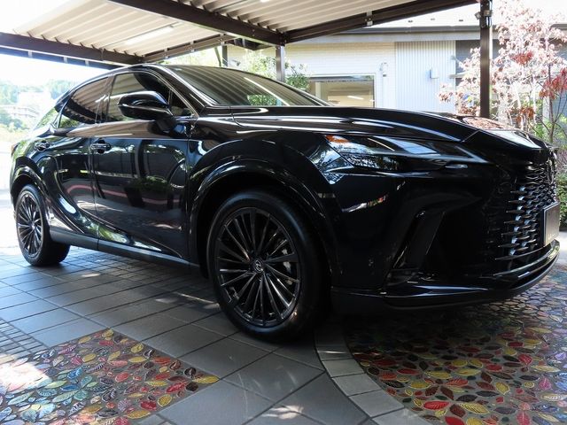 Lexus RX 2023-07 24069-7