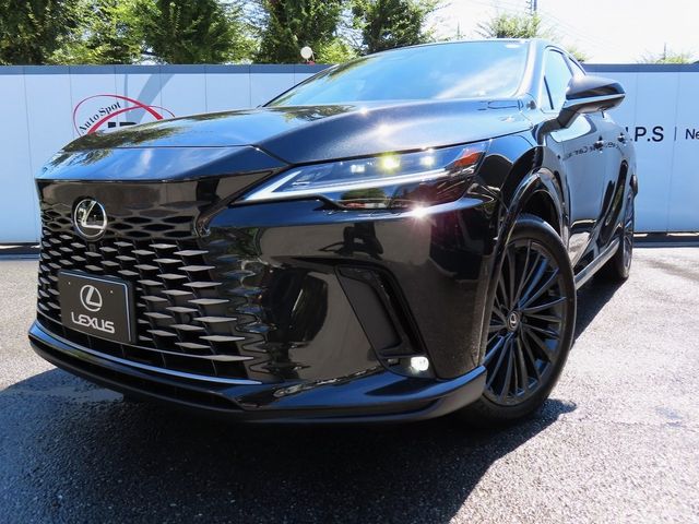Lexus RX 2023-07 24069-28