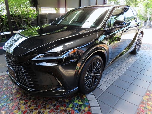 Lexus RX 2023-07 24069-9