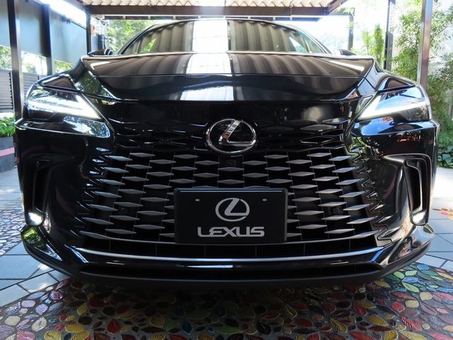 Lexus RX 2023-07 24069-3