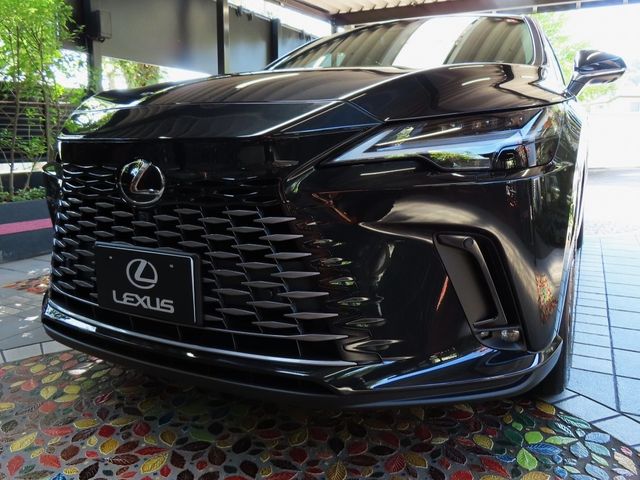 Lexus RX 2023-07 24069-5