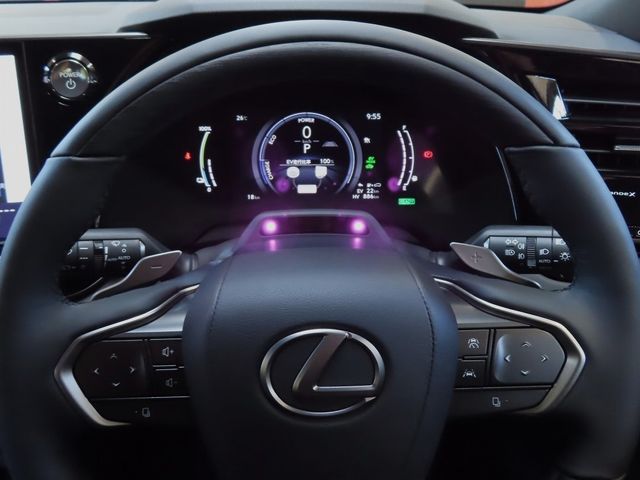 Lexus RX 2023-07 24069-18