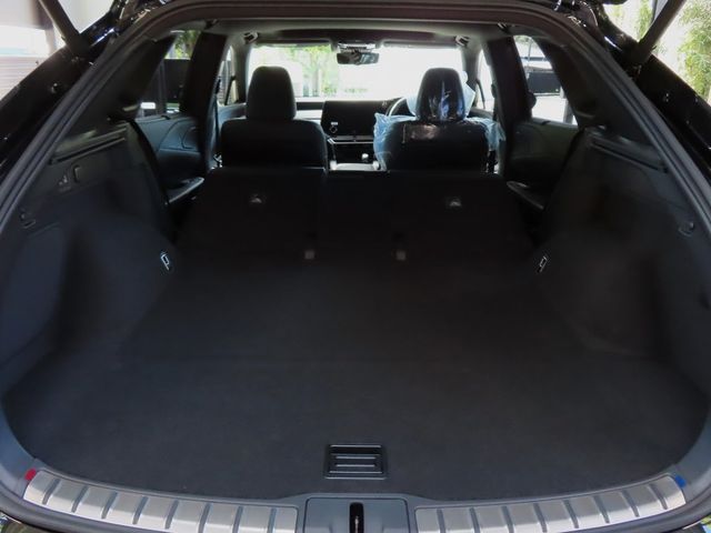 Lexus RX 2023-07 24069-26