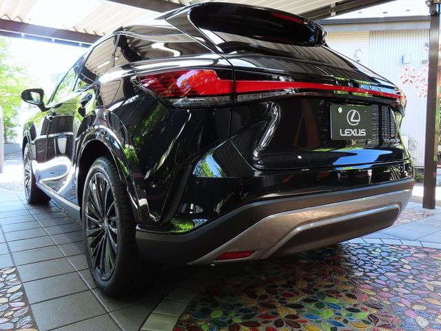 Lexus RX 2023-07 24069-1