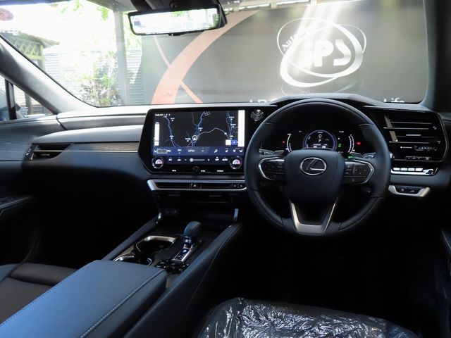 Lexus RX 2023-07 24069-15